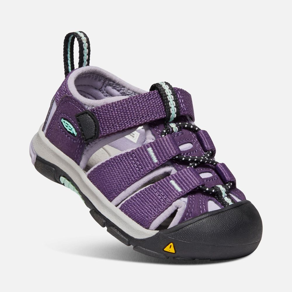 Sandalias Keen Mexico Morados - Niños Newport H2 - MF7295143